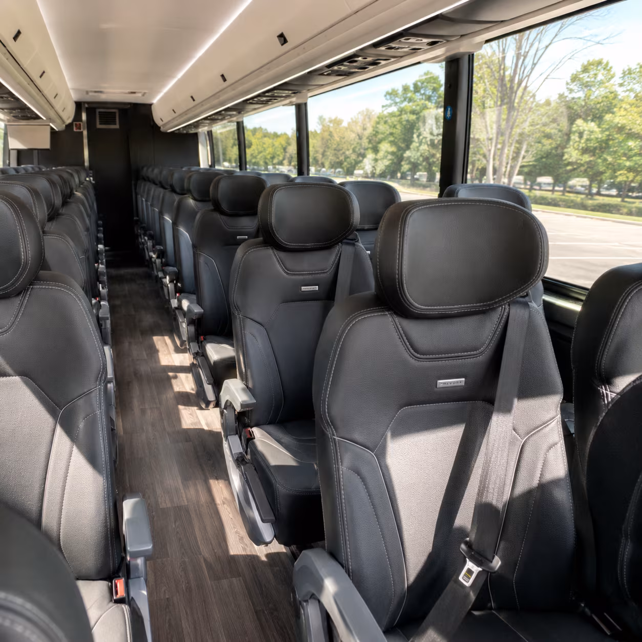 amarillo wine tour brewery transportation onboard seating