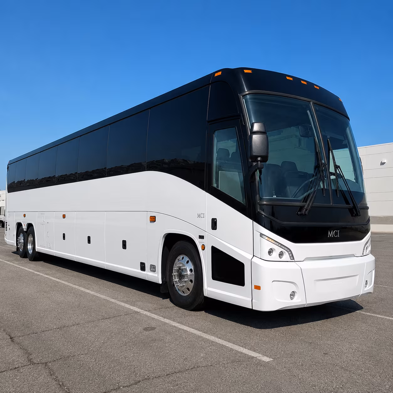 these amarillo field trip buses are ready for the amarillo zoo and thompson park
